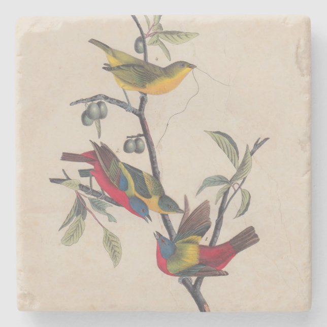 Dessous-de-verre En Pierre Audubon Peint Bunting Bird Wildlife (Devant)