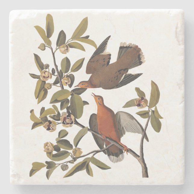 Dessous-de-verre En Pierre Audubon Zenaida Dove avec fleurs (Devant)