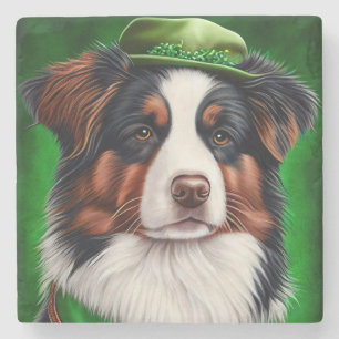 Dessous-de-verre En Pierre Australian Shepherd dog en tenue de St. Patrick's