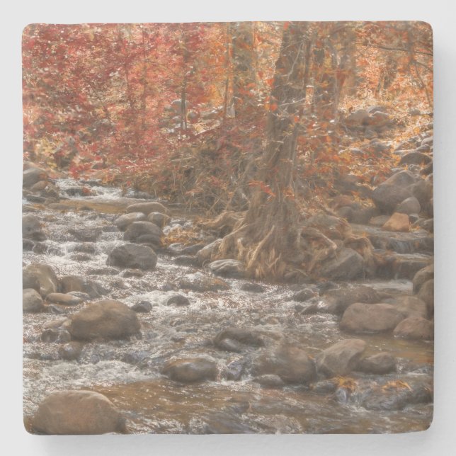 DESSOUS-DE-VERRE EN PIERRE AUTUMN FOREST RIVER SEDONA ARIZONA (Devant)