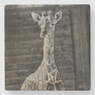 Dessous-de-verre En Pierre Baby Giraffe