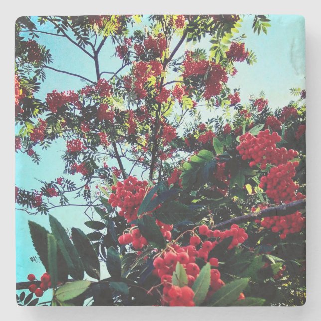Dessous-de-verre En Pierre Baies rouges (Devant)