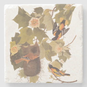Dessous-de-verre En Pierre Baltimore Oriole Audubon Bird Family avec nid