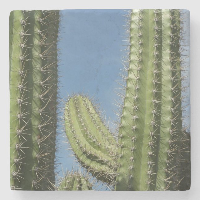 Dessous-de-verre En Pierre Barrel Cactus I Desert Photo (Devant)