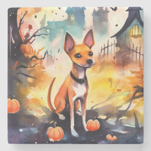 Dessous-de-verre En Pierre Basenji D'Halloween Avec Peur Citrouille