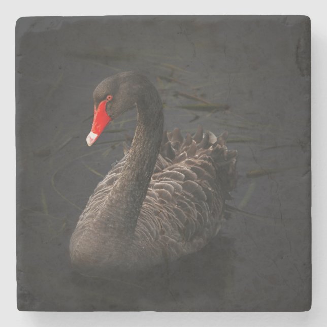 Dessous-de-verre En Pierre Beau cygne noir avec un bec rouge vif (Devant)