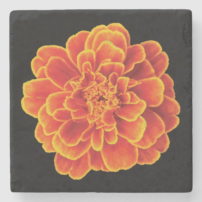 Dessous-de-verre En Pierre Beau Dessous de verre en pierre de Marigold (Devant)