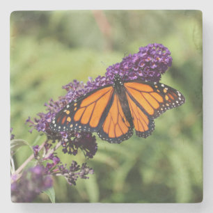 Dessous-de-verre En Pierre Beau Papillon Monarque sur une Fleur Violette