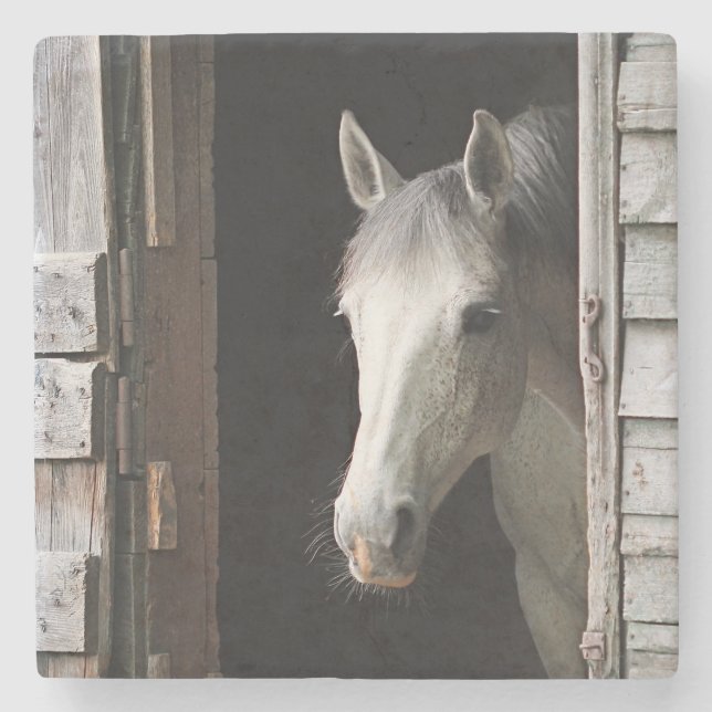 Dessous-de-verre En Pierre Beaux animaux gris de cheval de jument (Devant)