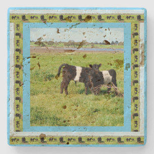 Dessous-de-verre En Pierre Bébé Blanc Noir Ceinturé Vaches Galloway,