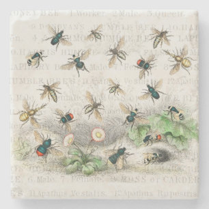 Dessous-de-verre En Pierre Bee Honey Travailleur Queen Bees Antique