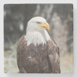 Dessous-de-verre En Pierre Belle aigle à tête blanche (Haliaeetus leucocephal