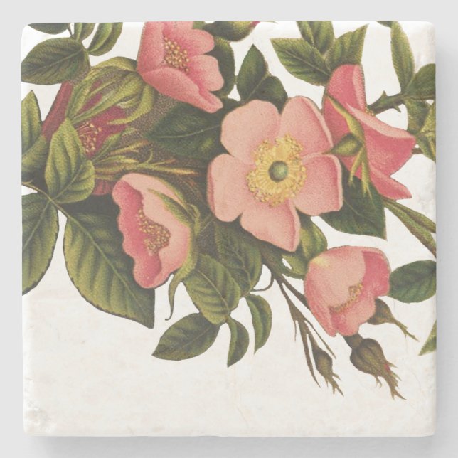 Dessous-de-verre En Pierre Belle Botanique rose Rose vintage (Devant)