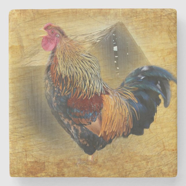 Dessous-de-verre En Pierre Belle coop de poulet rôti et de grange rustique (Devant)