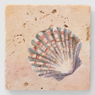 Dessous-de-verre En Pierre Belle coquille Saint-Jacques aquarelle Pink Beach