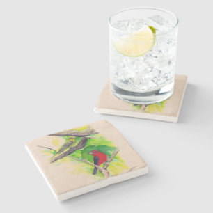 Dessous-de-verre En Pierre Belle Peinture de Tanagers à Scarlet