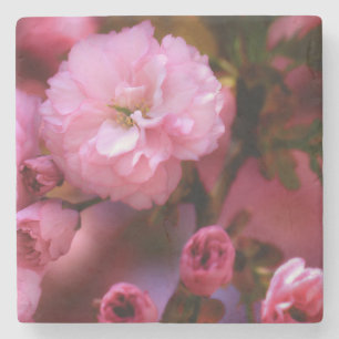 Dessous-de-verre En Pierre Belles fleurs de cerisiers rose printemps