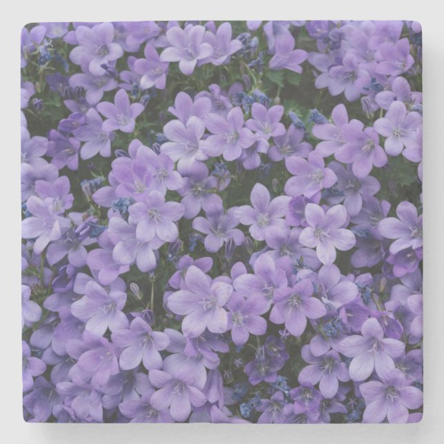 Dessous-de-verre En Pierre Belles fleurs violettes (Devant)