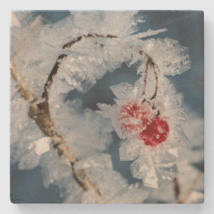 Dessous-de-verre En Pierre Berry