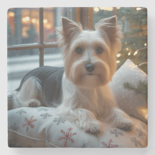 Dessous-de-verre En Pierre Biewer Terrier avec lumières de Noël pour les Fête