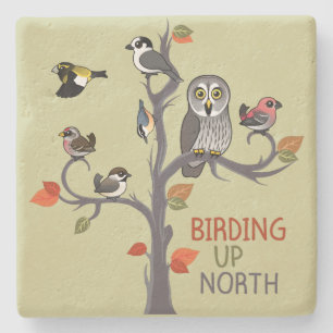 Dessous-de-verre En Pierre Birding vers le haut de nord