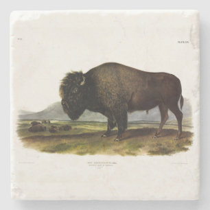 Dessous-de-verre En Pierre Bison américain, ou bison (bison) - Audubon