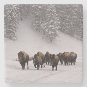 Dessous-de-verre En Pierre Bison en hiver