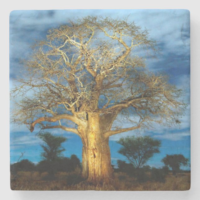 Dessous-de-verre En Pierre Bobab (Adansonia) Arbre Éclairé Par La Lune (Devant)
