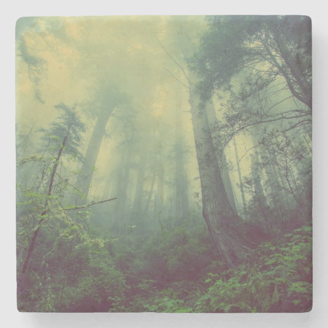 Dessous-de-verre En Pierre Bois Du Bas (Devant)