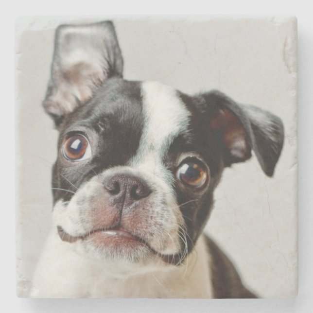 Dessous-de-verre En Pierre Boston Terrier (Devant)