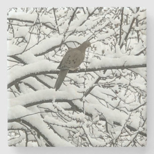 Dessous-de-verre En Pierre Branches d'arbre enneigées Oiseau (photographie pa