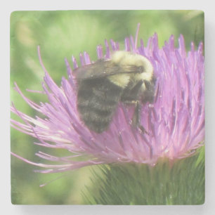Dessous-de-verre En Pierre Bumblebee sur chardon