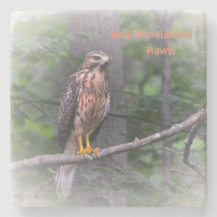 Dessous-de-verre En Pierre Buse mystique