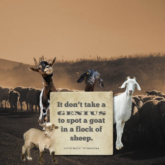 Dessous-de-verre En Pierre Ça ne prend pas un | Sagesse de Cowboy | Devis Sud