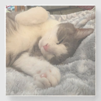 Dessous-de-verre En Pierre Cadeau personnalisé amateur de chats photo de chat