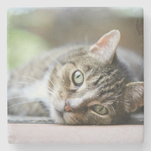 Dessous-de-verre En Pierre Cadeau personnalisé pour amateur de chats avec pho