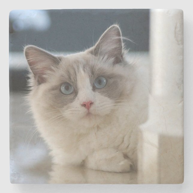 Dessous-de-verre En Pierre Calico (Devant)