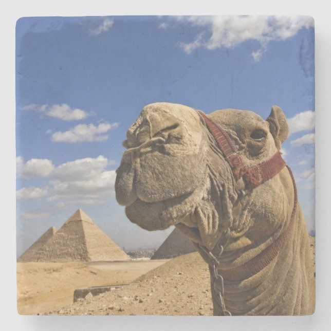 Dessous-de-verre En Pierre Camel devant les pyramides de Gizeh, Egypte, (Devant)