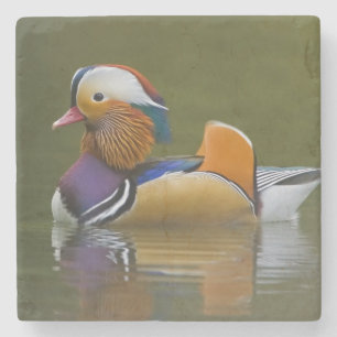 Dessous-de-verre En Pierre Canard mandarin sauvage Aix galericulata) sur fond