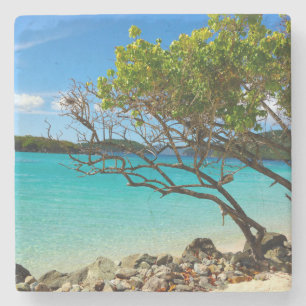 Dessous-de-verre En Pierre Cannamon Bay St. John USVI Dessous de verre tropic