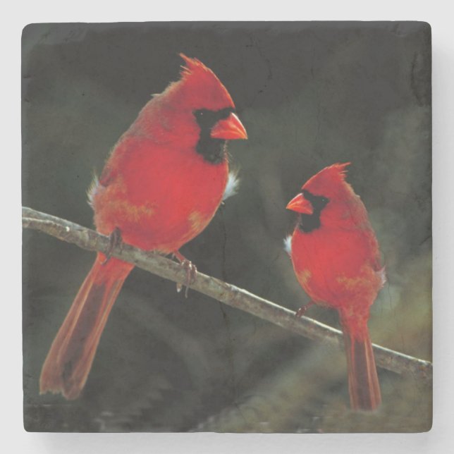 DESSOUS-DE-VERRE EN PIERRE CARDINAL (Devant)