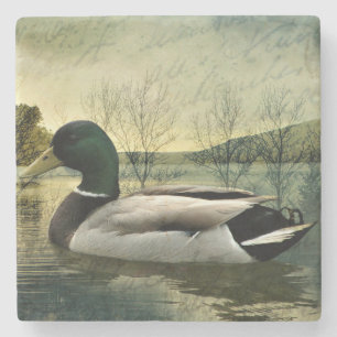 Dessous-de-verre En Pierre Carte postale Patinée Vintage Mallard Duck