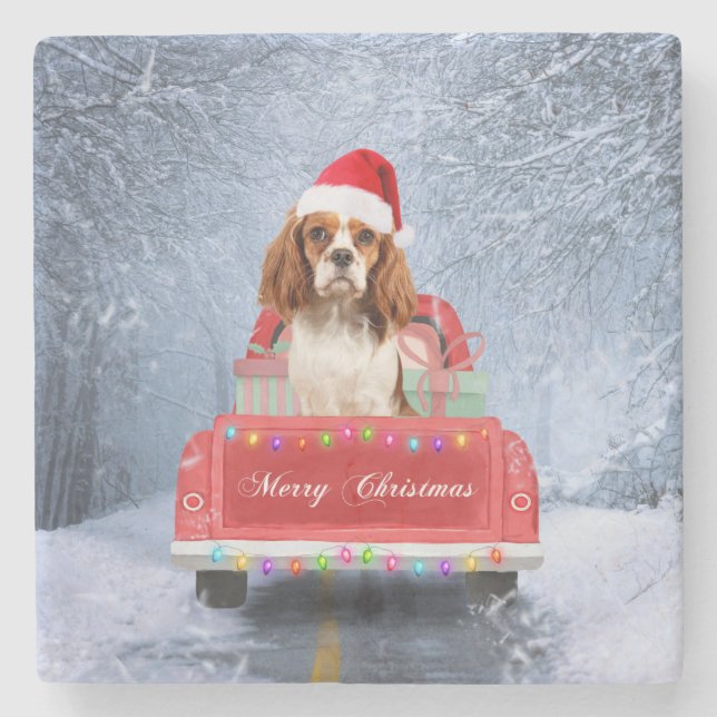 Dessous-de-verre En Pierre Cavalier King Charles Spaniel Chien neige noël (Devant)
