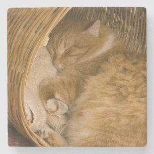 Dessous-de-verre En Pierre Chat tigré orange dormant dans un panier