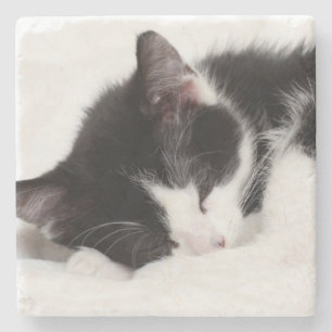 Dessous-de-verre En Pierre Chaton de sommeil