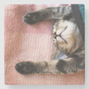 Dessous-de-verre En Pierre Chaton de sommeiller