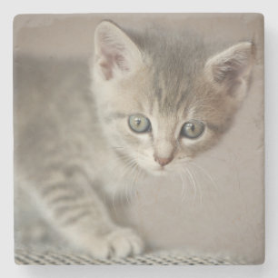 Dessous-de-verre En Pierre Chaton minuscule
