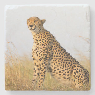 Dessous-de-verre En Pierre Cheetah
