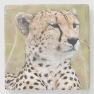 Dessous-de-verre En Pierre Cheetah