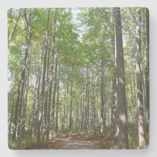 Dessous-de-verre En Pierre Chemin en bois centenaire II Ellicott City Marylan